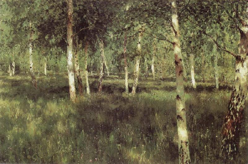 Isaac Levitan Birch Plantation china oil painting image